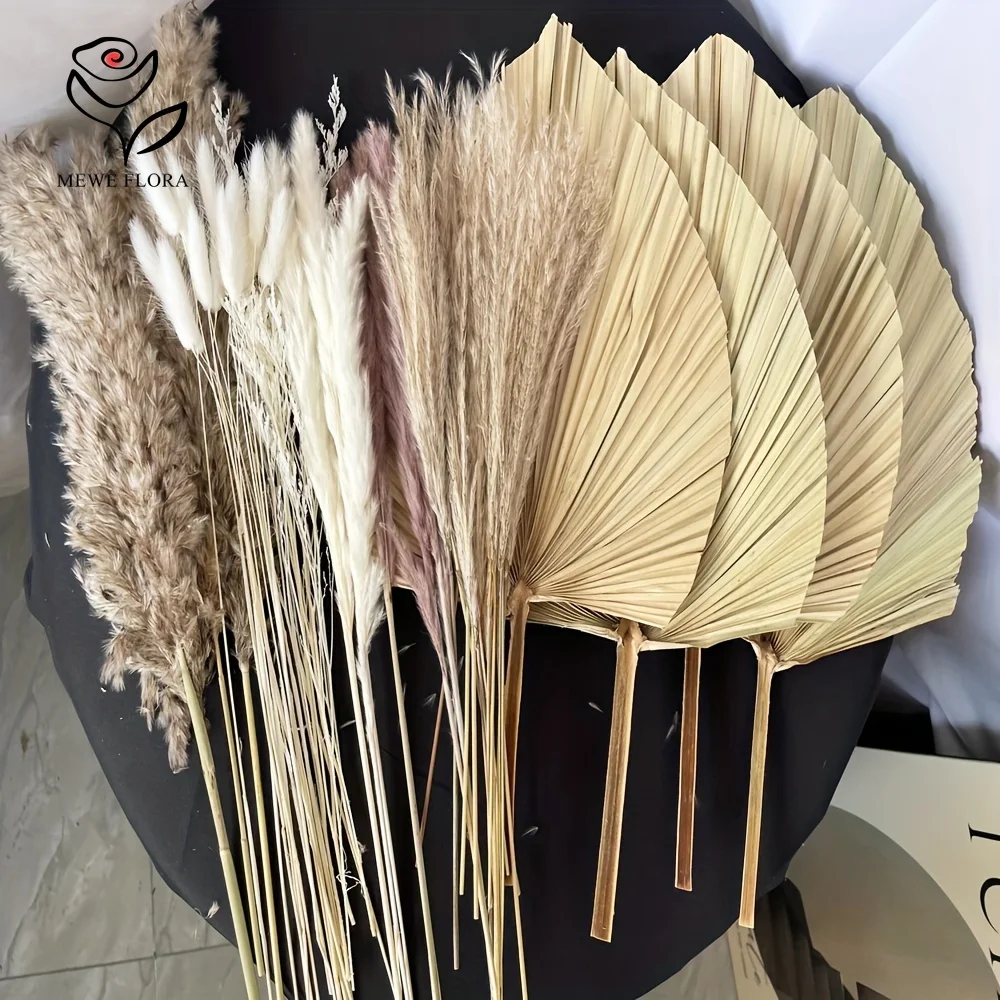 35Pcs Naturalna trawa pampasow – Pampas Grass Decor recenzja i cena
